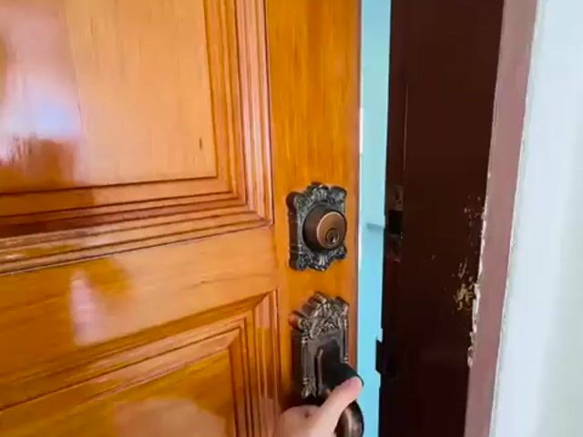 Video Image 1