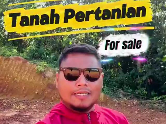 Video Image 1
