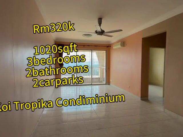 Video Image 1