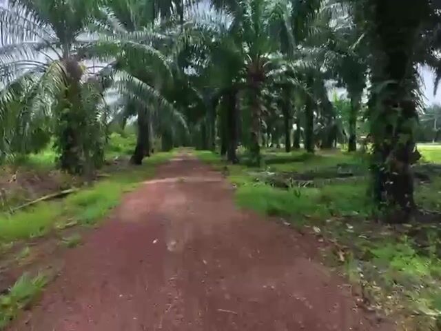 Video Image 1