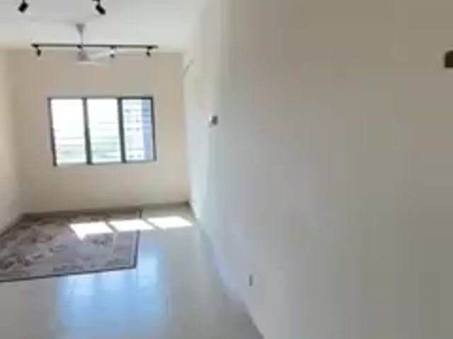Video Image 1