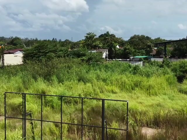 Video Image 1