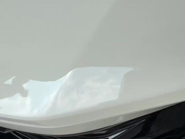 2024 Honda CIVIC 2.0 TYPE R MY23 FL5 (M) - 1
