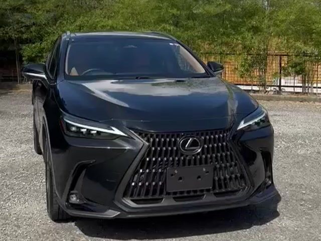 2022 Lexus NX 250 2.5 VERSION L 5A 5kKM NX250 - 1