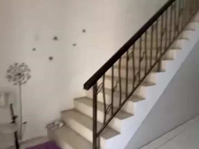 Video Image 1