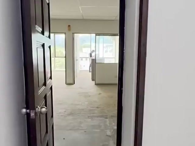 Video Image 1