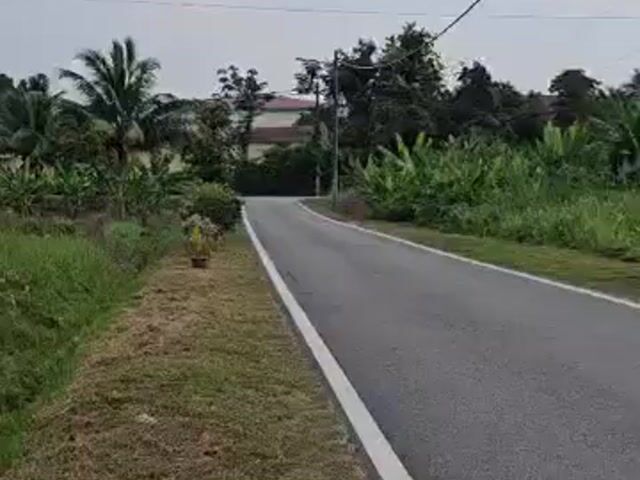 Video Image 1