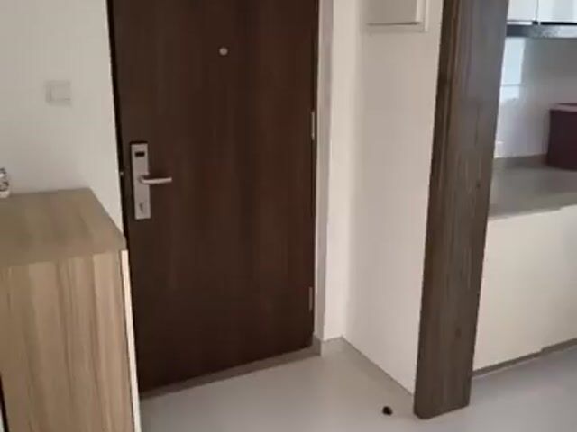 Video Image 1