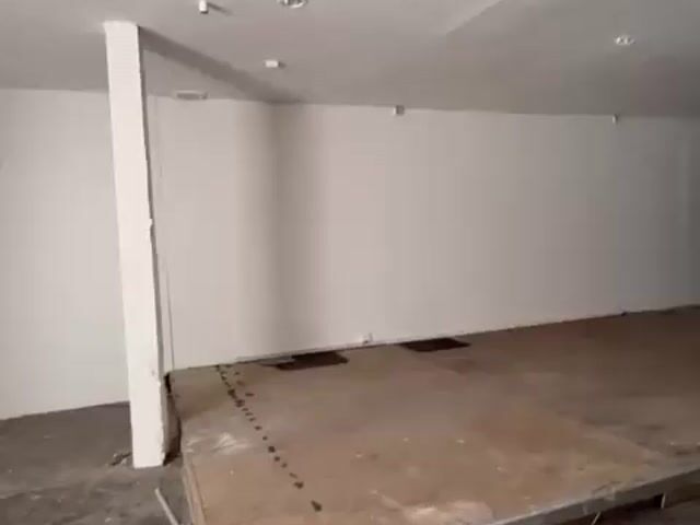 Video Image 1