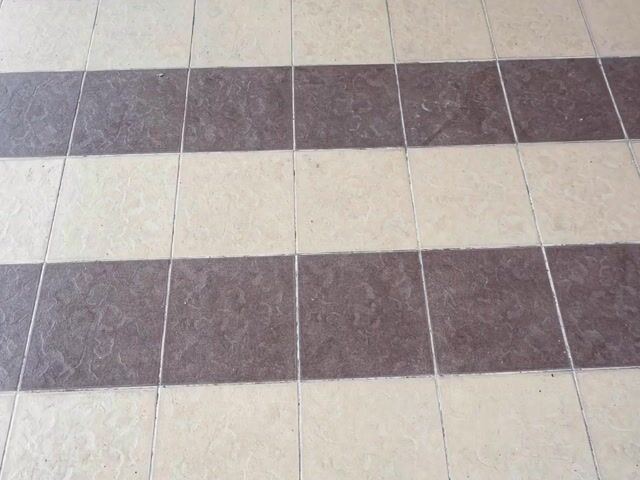 Video Image 1