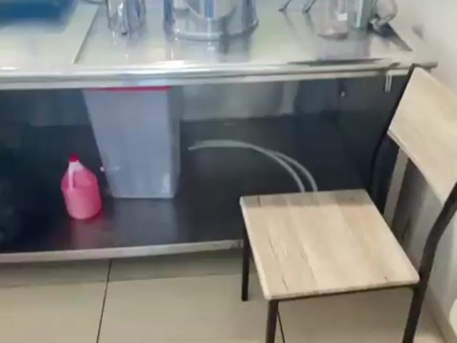 Video Image 1