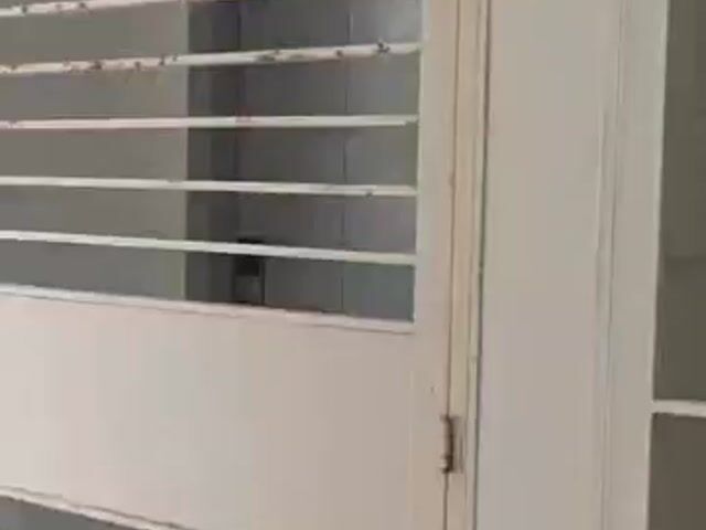 Video Image 1