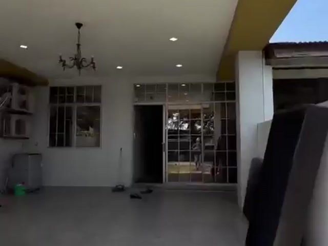 Video Image 1