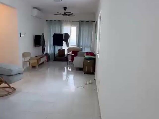 Video Image 1