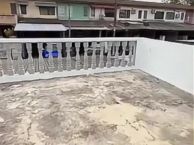 Video Image 1