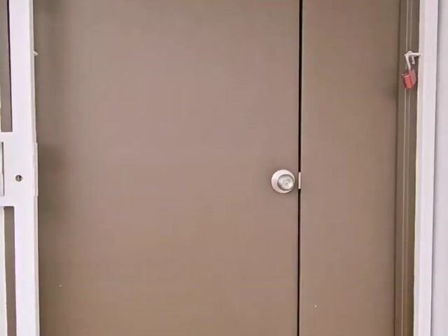 Video Image 1