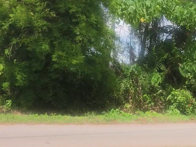 Video Image 1