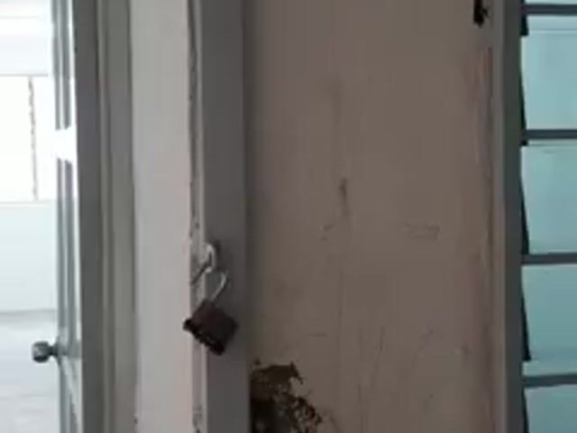 Video Image 1