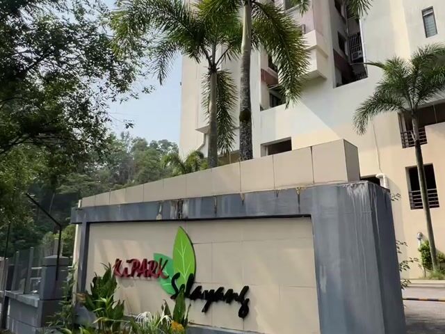 Video Image 1