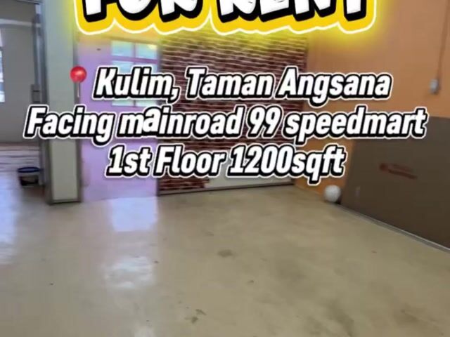 Video Image 1
