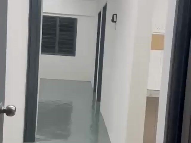 Video Image 1