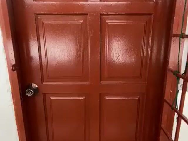 Video Image 1