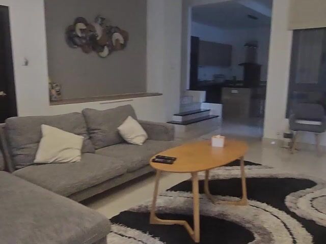 Video Image 1
