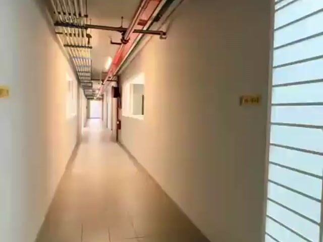 Video Image 1