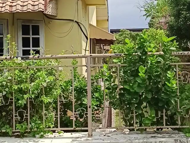 Video Image 1