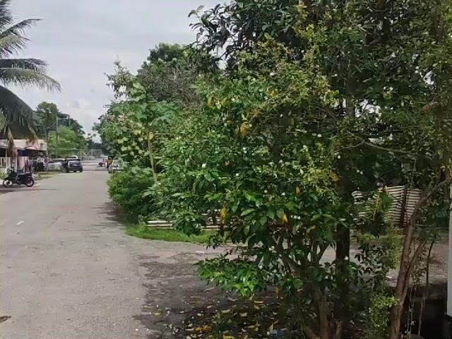 Video Image 1