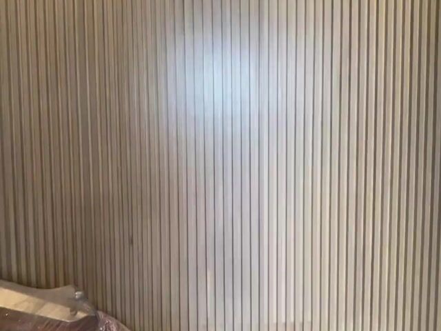 Video Image 1