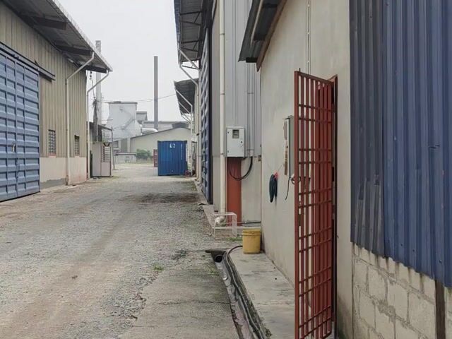 Video Image 1