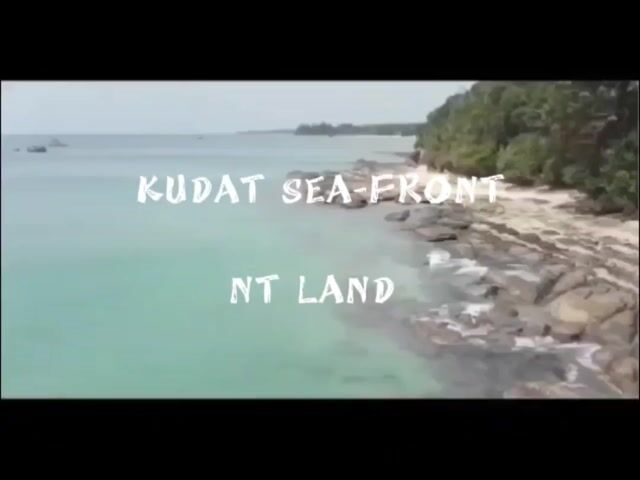 Video Image 1