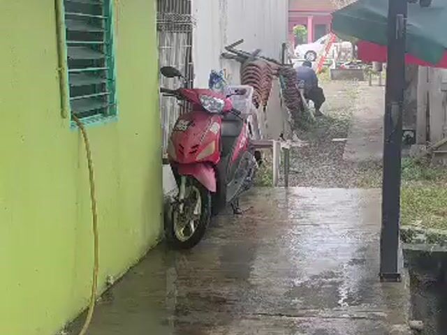 Video Image 1