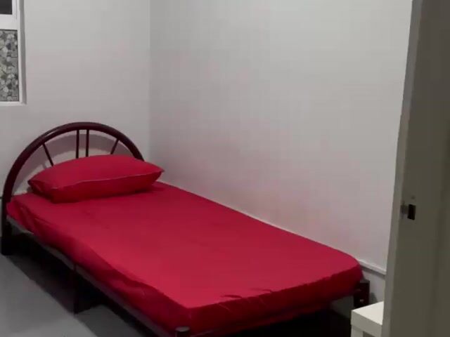 Video Image 1