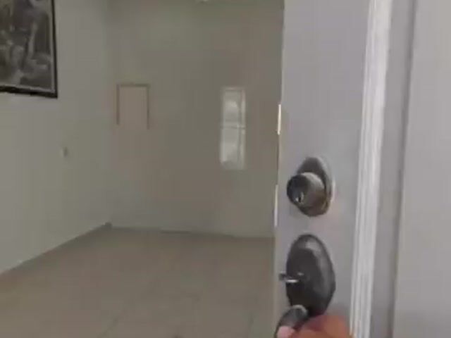 Video Image 1
