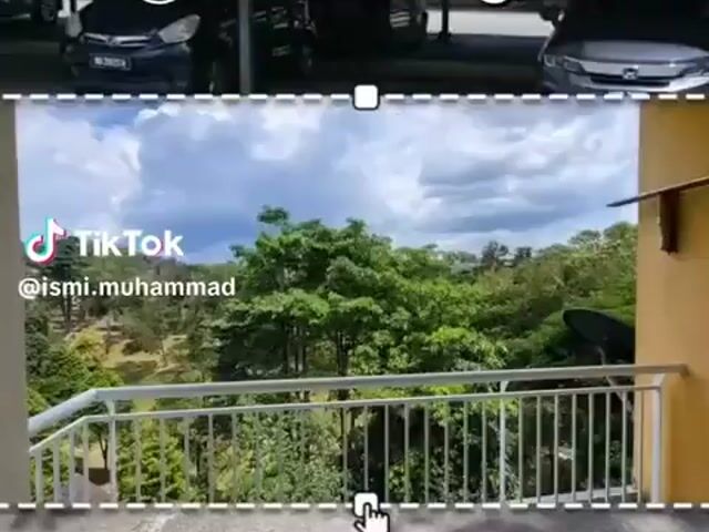 Video Image 1