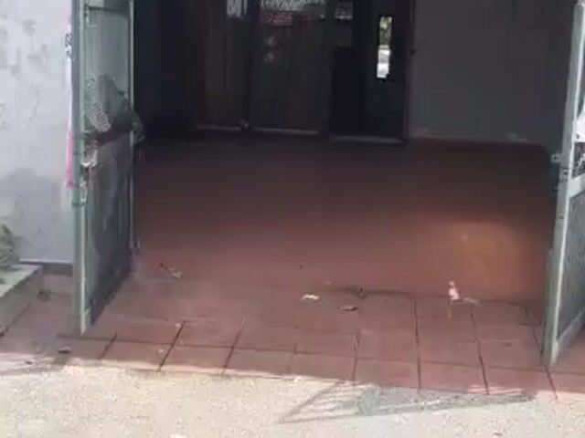 Video Image 1