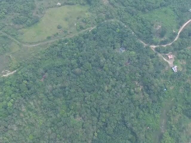 Video Image 1