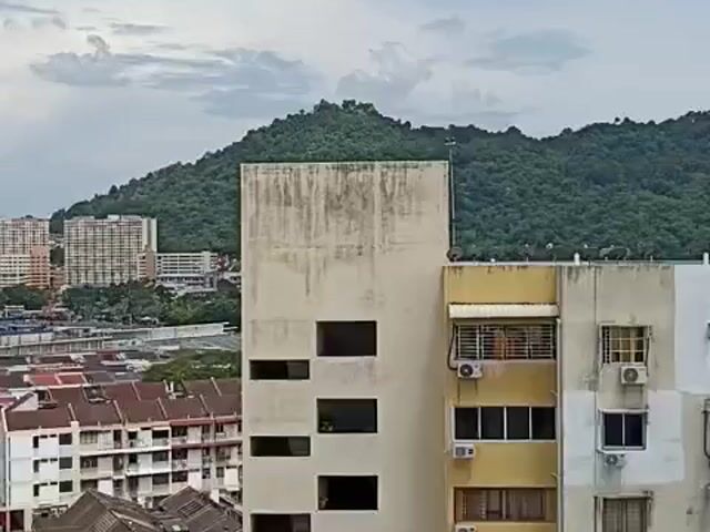 Video Image 1