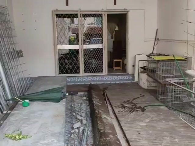 Video Image 1