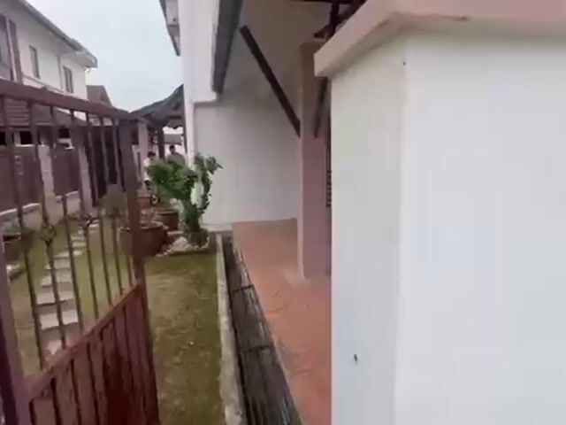 Video Image 1