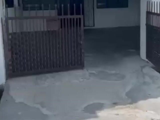 Video Image 1