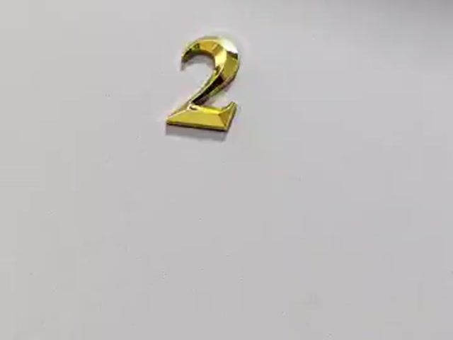 Video Image 1