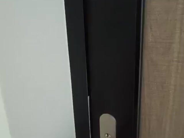 Video Image 1