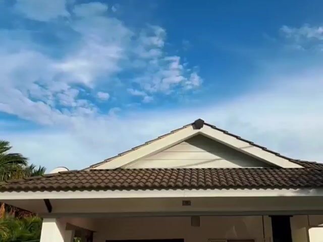 Video Image 1