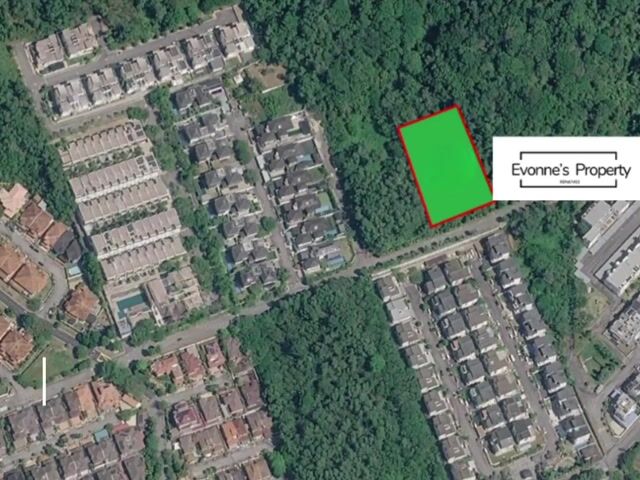 Video Image 1