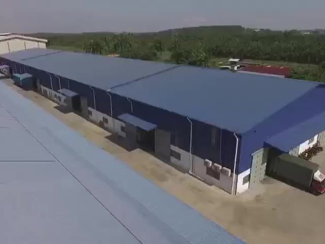 Video Image 1