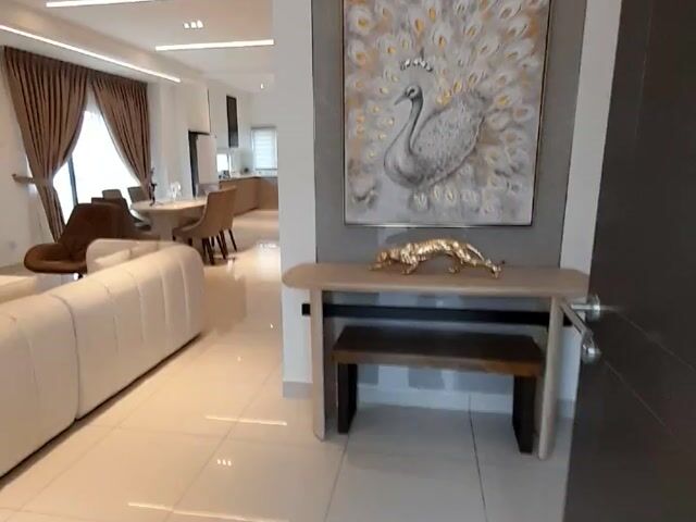 Video Image 1