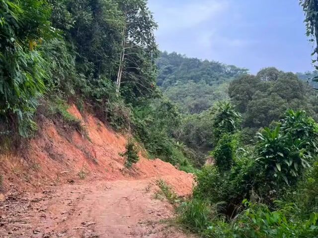 Video Image 1